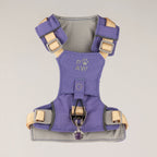 PAW - S (4-8Kg) Dog Step-in Guardian Harness with Reflective Mesh - Lavender - Amethyst Charm
