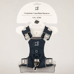 PAW - S (4-8Kg) Dog Step-in Guardian Harness with Reflective Mesh - Rock Grey - Black Obsidian Charm